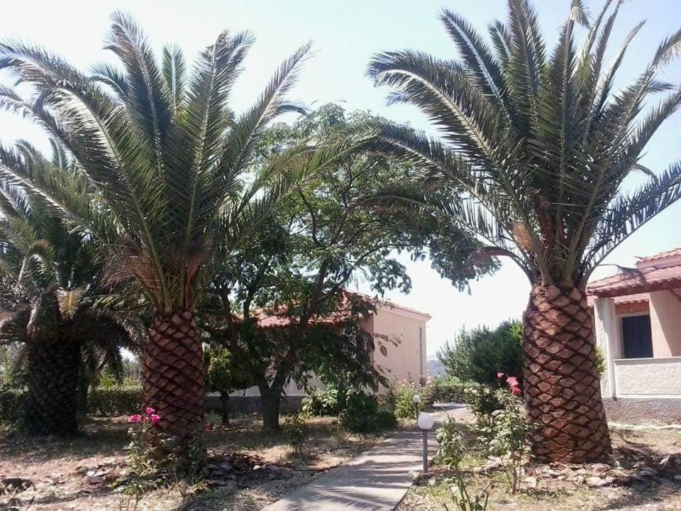 Oasis Studios Skala Kallonis Exterior photo
