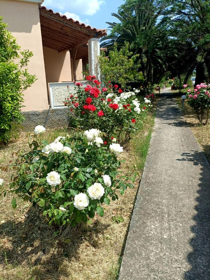 Oasis Studios Skala Kallonis Exterior photo